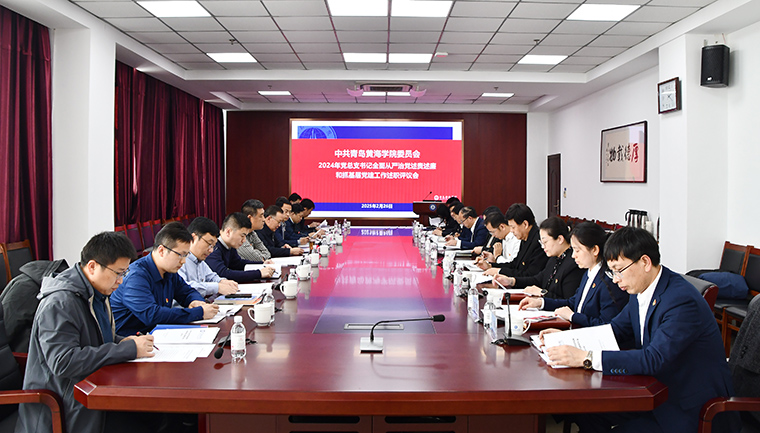 248cc永利集团召开2024年度党总支书记履行全面从严治党责任和抓基层党建工作述职评议会
